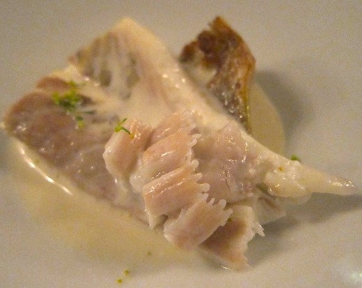 Sergent-turbot