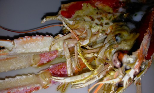 EDGAR-Langoustines