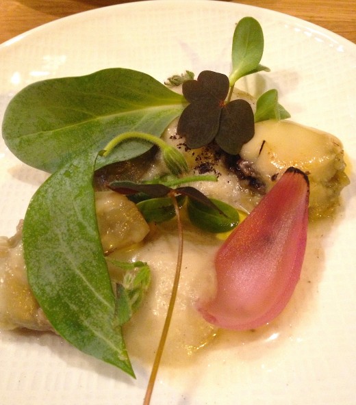 ENCORE-Brie-oyster-plant-wood-sorrel-shallot