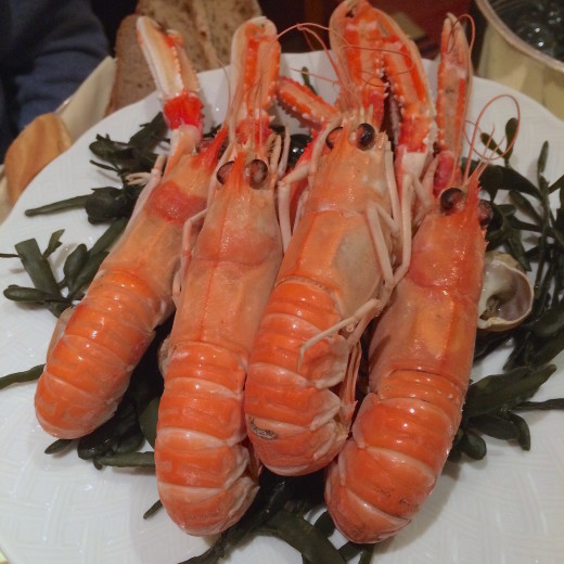 Le Duc - Scottish langoustines