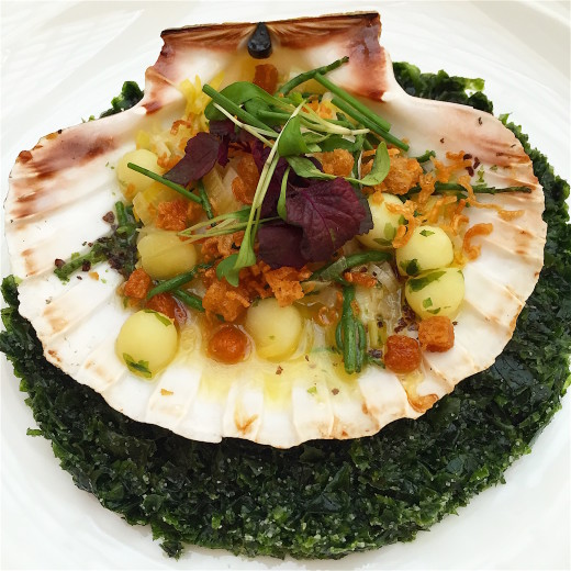 Celeste - scallop, seaweed, potatoes