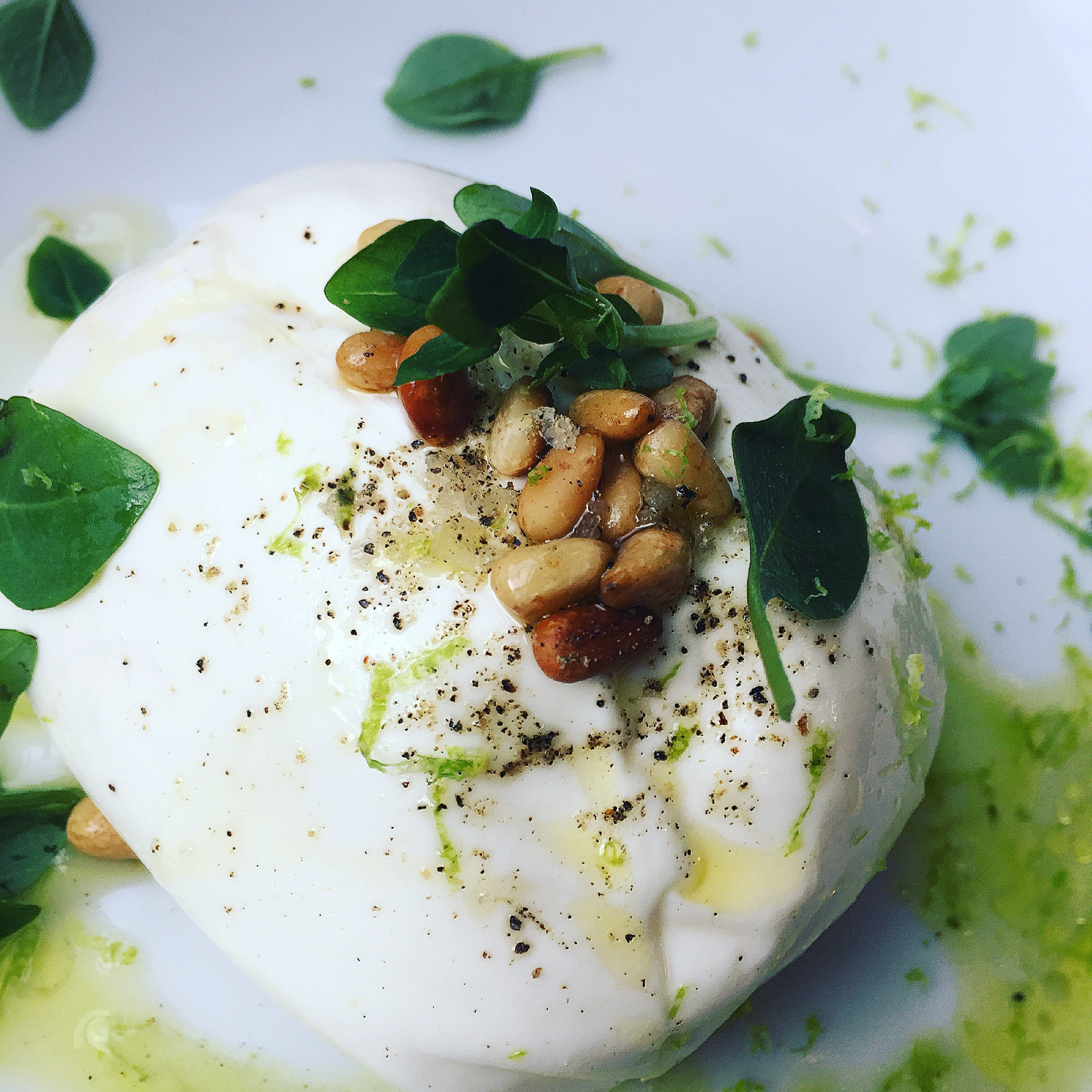 Daroco - Paris - Burrata @AlexanderLobrano