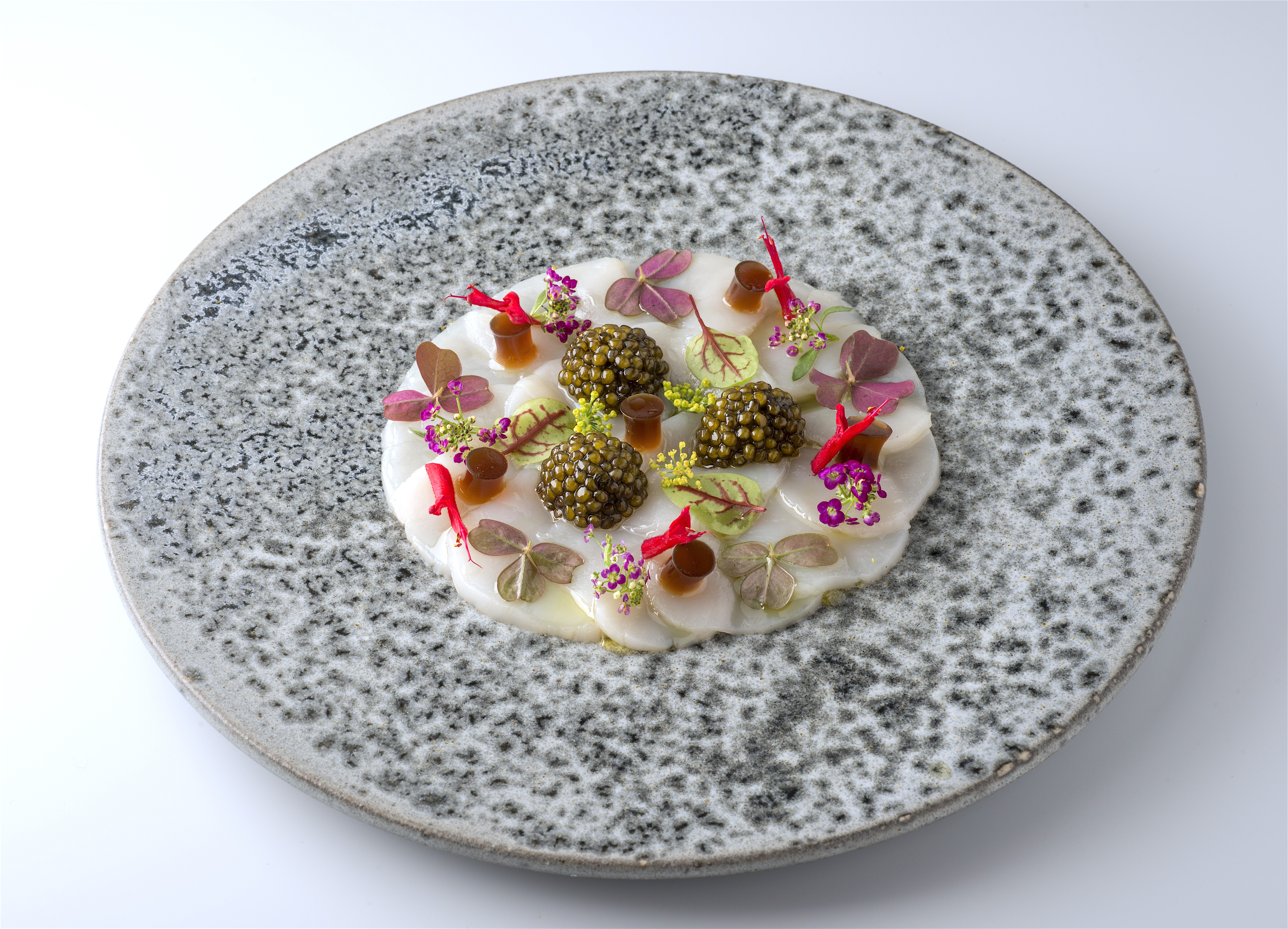 Divellec - Scallop carpaccio @ Jacques Savard