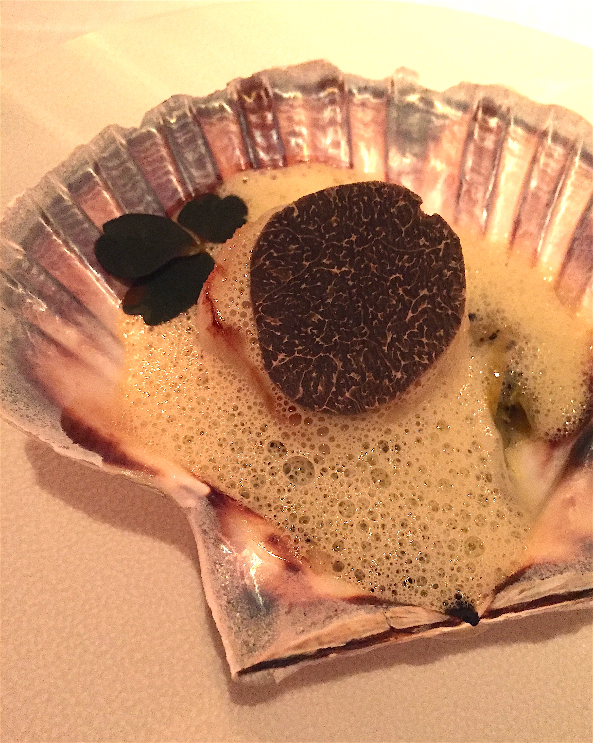 Divellec - scallop with black truffle @Alexander Lobrano